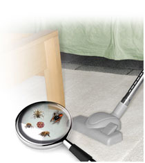 Most dirt, dust and micro-organisms that exist in our homes are so tiny you will never think of them as dangerous.